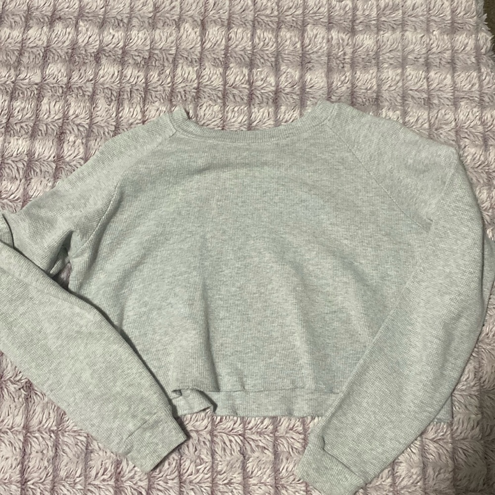 John Galt Waffle Knit Cropped Crew Neck
